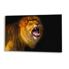 Quadros de Animais - Leão Feroz - comprar online