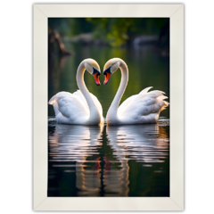 Quadros de Animais - Casal de Cisnes - comprar online