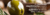 Banner de jequitinhonhaalimentos