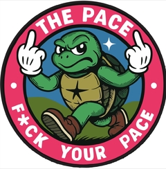 Pack Adesivos (14 adesivos em vinil) - THEPACE