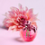NINA ILLUSION NINA RICCI EDP FEMININO - loja online