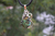 Dije De Turquesa Montada En Plata Ley .925 C Collar De Piel. en internet