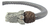 Brazalete De Piel Gris Con Quetzalcoatl De Plata 925 - buy online