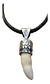 Imagen de Dije De Amuleto De Coco Montado En Plata 925 Con Collar