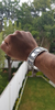 Pulsera Gruesa De Plata Adornada Con Casquillas Y Calados on internet