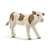 Simmental Calf Schleich