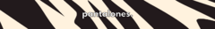Banner de la categoría CAMISAS