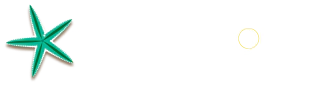 Spinelli joias