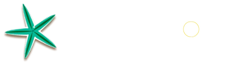 Spinelli joias
