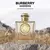 Burberry Goddess Edp - RoxScent