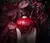 Hypnotic Poison Dior - RoxScent