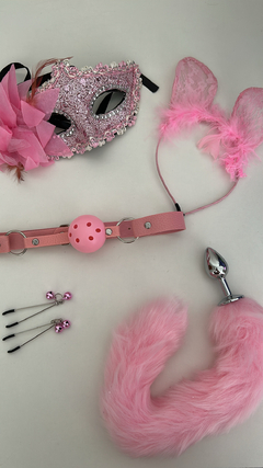 Fantasia Raposa Rosa