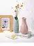 Vaso de plástico nórdico, simples, pequeno, fresco, vaso de flores, garrafa de - comprar online