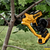 Tesoura Poda Dcpr320b + 2 Baterias 4ah + Carregador Dewalt