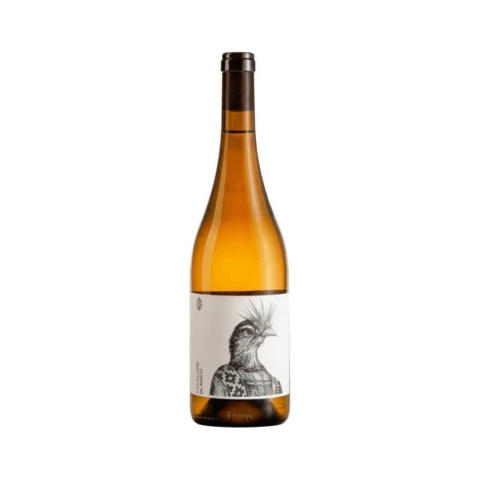 Vinho branco Castel Pujol Folklore Blanco