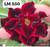 Lm 550