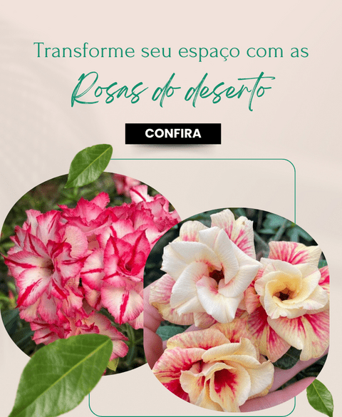 Carrossel 1