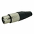 PLUG REAN XLR FEMEA