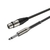 CABO MICROFONE ROXTONE XLR/P10 3M