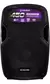 CAIXA WALDMAN ATIVA PA 12" 450W RC450X