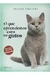O que Aprendemos com os Gatos - Autor: Paloma Díaz Mas (2015) [usado]