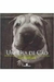 Um Dia de Cão - Autor: Jim Dratfield (2002) [usado]