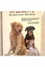 Adestramento Inteligente: com Amor, Humor e Bom Senso - Autor: Alexandre Rossi (1999) [usado]