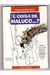 É Coisa de Maluco - Autor: Thomas Korontai (1998) [usado]
