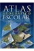 Atlas Geográfico Escolar - Autor: Bicho Esperto (2006) [usado]