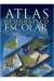 Atlas Geográfico Escolar - Autor: Bicho Esperto (2006) [usado]