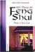 101 Dicas do Feng Shui para o seu Lar - Autor: Richard Webster [usado]