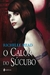 O Calor do Súcubo - Autor: Richelle Mead (2011) [usado]