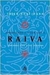 Aprendendo a Lidar com a Raiva - Autor: Thich Nhat Hanh (2003) [usado]