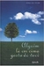Alguém Lá em Cima Gosta de Você - Autor: Arielle Ford (2006) [usado]