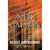 Deuses Americanos - Autor: Neil Gaiman (2011) [novo]