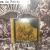 Beyond the Grave - Ester Panim - buy online