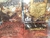 Masacre - Sacro - comprar online