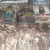 Open The Coffin - The World Is A Casket (Slipcase) - comprar online