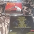 Sabbat - The Harmageddon Vinylucifer Singles Pt. 2 on internet
