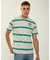 Remera Rayada