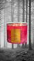 Velas Aromáticas Bath & Body Works en internet