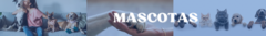 Banner de la categoría Mascotas