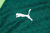 Conjunto Palmeiras Treino 24/25 - Masculino Puma - Verde - CAMISAS DE FUTEBOL E BASQUETE | Didil Sports