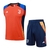 Kit Treino adulto - Camisa e Shorts - Juventus Adidas 24/25 - Azul e laranja