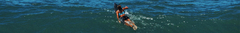 Banner da categoria Feminino