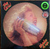 The Cars - Shake It Up LP Importado