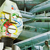 The Alan Parsons Project – I Robot CD Importado