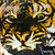 Survivor - Eye of The Tiger CD Importado - comprar online