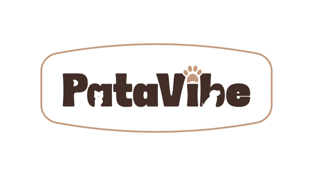 PataVibe