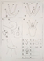 Juego De Mesa Eames 90x90 + 4 Sillas Tulip Baires4